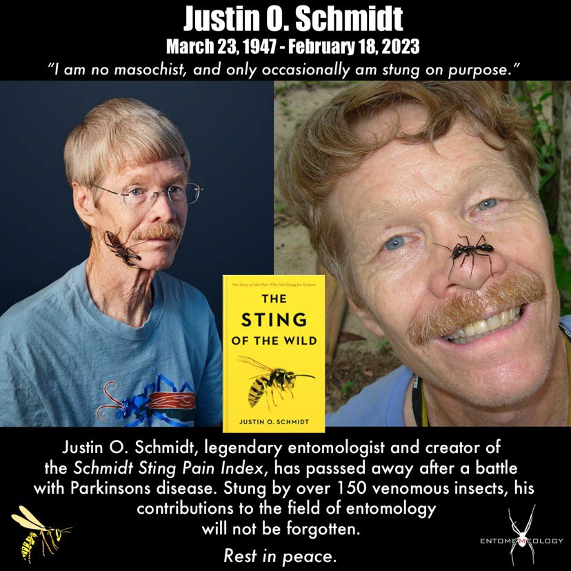 Falleció un investigador de Arizona que se dejó picar por cientos de insectos